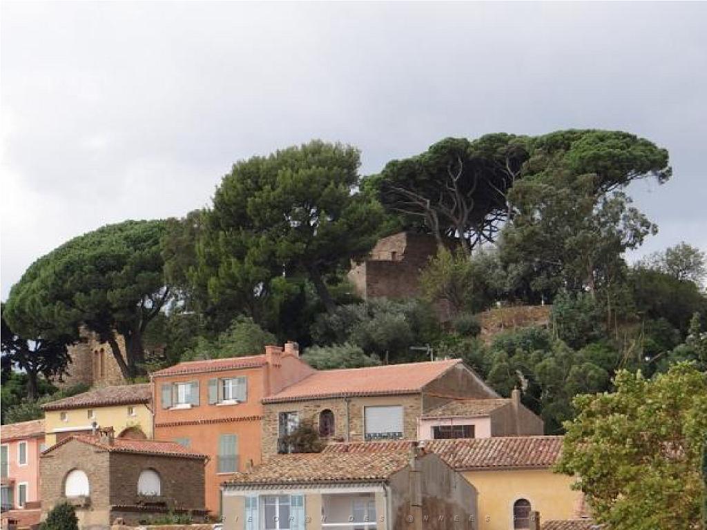 183 D24 BORMES LES MIMOSAS 2_000014.jpg